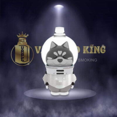 Husky Space Pod 6000 Hơi Pod 1 Lần