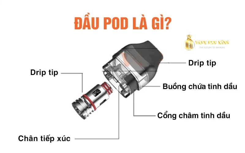 Khi nào nên thay đầu pod