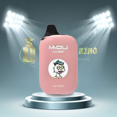 Miou V4 11000 Hơi - Pod 1 Lần