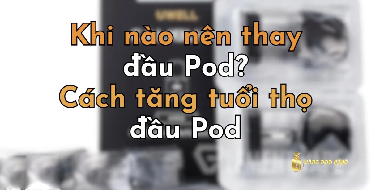 Đầu pod bao lâu thay 1 lần? Khi nào nên thay