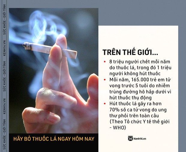 Tác hại của thuốc lá đối với xã hội