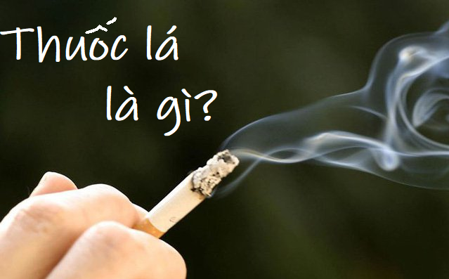 Thuốc Lá Là Gì